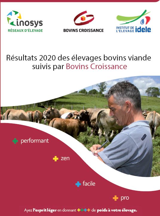 Référentiel Bovins Croissance- Résultats des élevages suivis en 2020