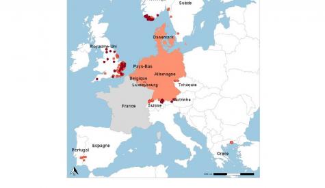 situation FCO 3 pays Européen hors France (situation France : cf autre actualité)
