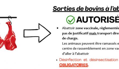 sortie abattoir ZV vers ZI