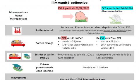 Schéma mouvements a venir fevrier 2026
